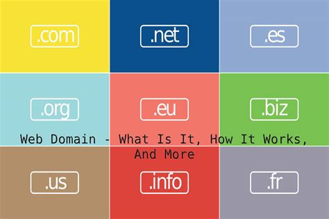 s a website|what is a website's domain.